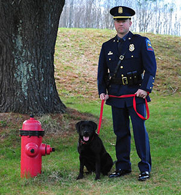 Deputy Fire Marshals